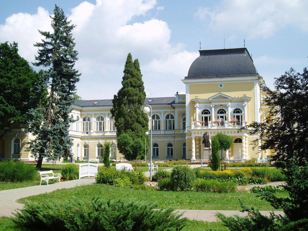 Dr. Adler Spa & Kurhotel Františkovy Lázně المظهر الخارجي الصورة